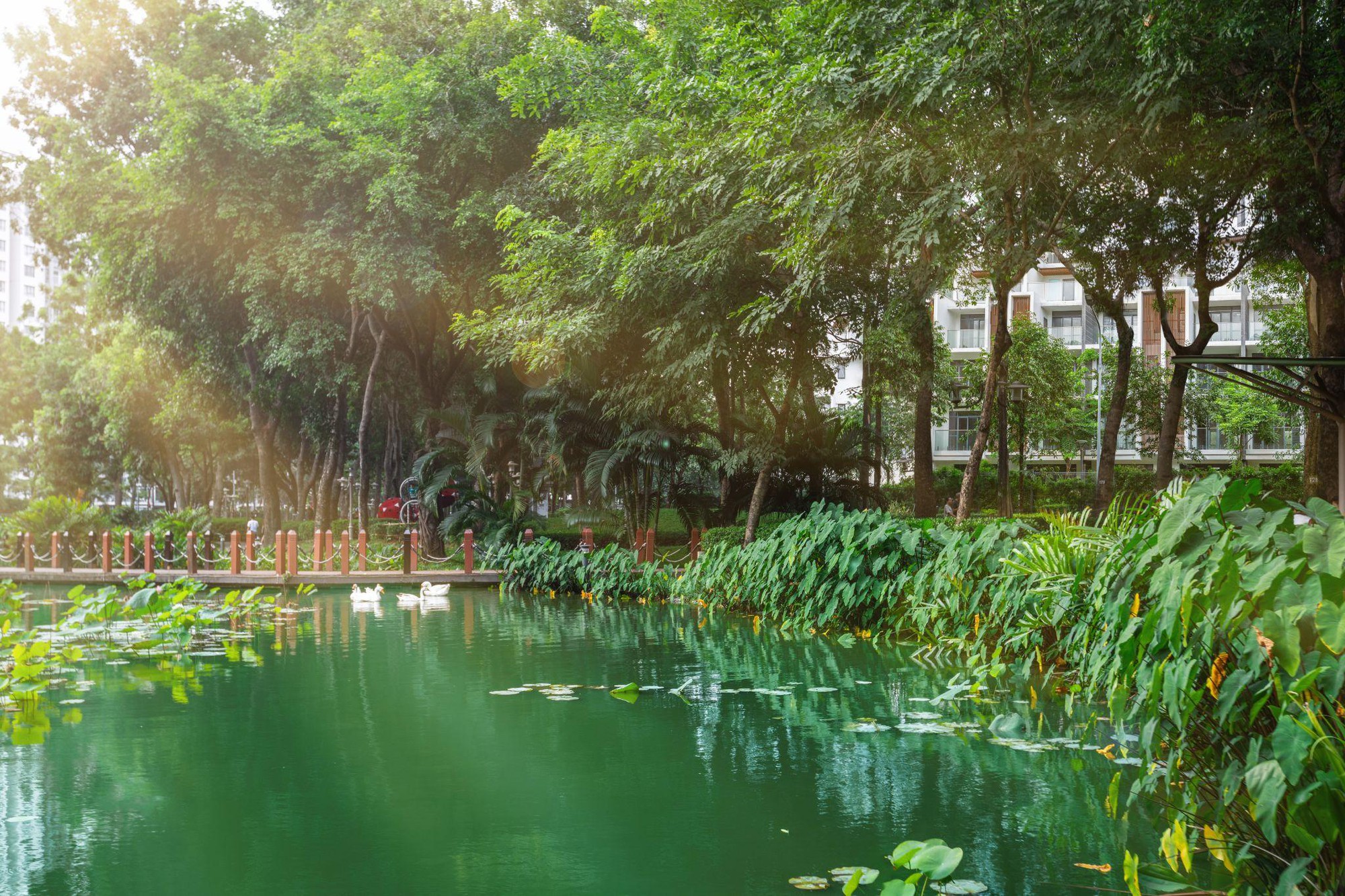 The GLEN – Mảnh ghép cuối cùng hoàn thiện Celadon City, dành diêng cho số ít- Ảnh 4.