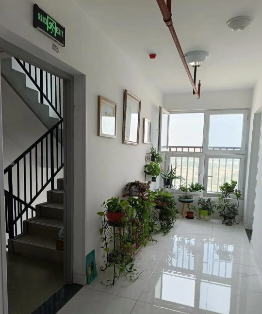 4 thứ kiêng kỵ, người giàu tránh đặt trước cửa nhà- Ảnh 4.