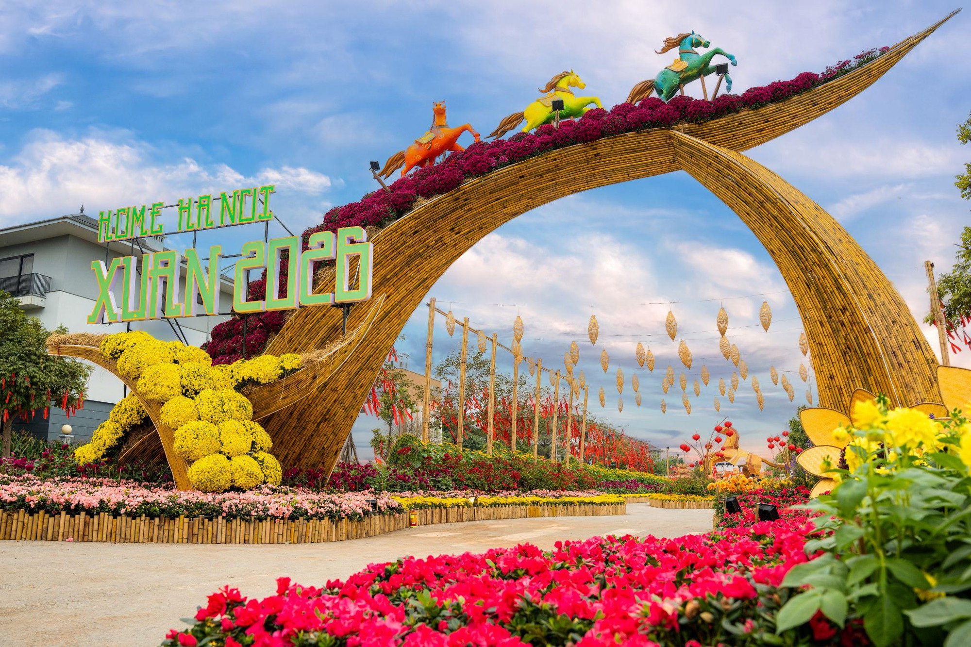 Giải mã Đường hoa Home Hanoi Xuan 2026: Tọa độ du xuân mới đang được giới trẻ Hà Nội rủ nhau check-in - Ảnh 1.