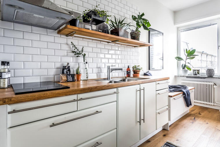 Nhiều người đặt cây này cạnh bếp cho đẹp mà không biết đang vô tình làm thất thoát tiền bạc mỗi tháng - Ảnh 1.