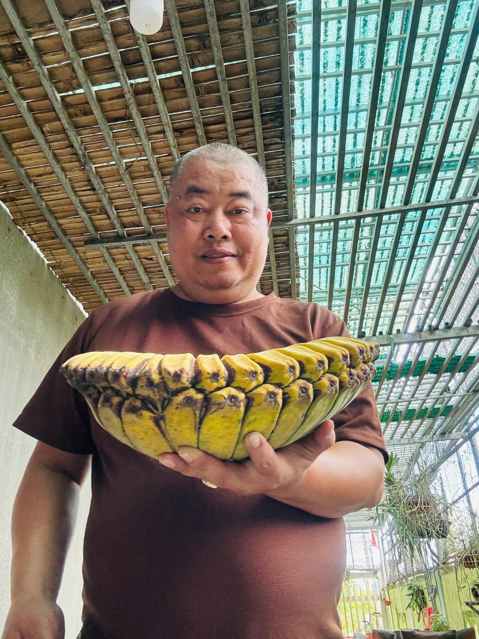 Nải chuối hình bàn tay Phật trông thế nào? Giá đắt nhất từ trước đến nay - Ảnh 3.