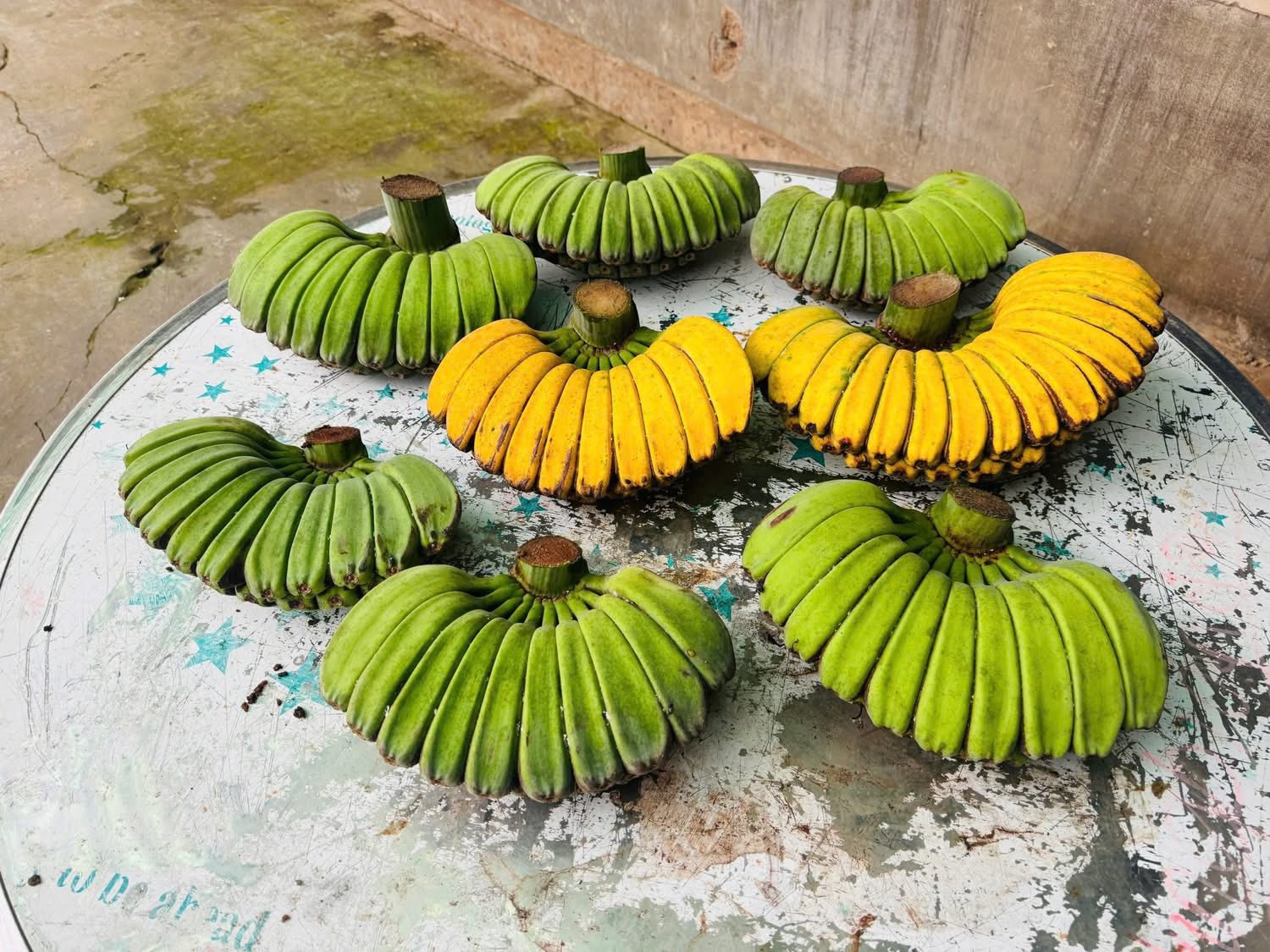 Nải chuối hình bàn tay Phật trông thế nào? Giá đắt nhất từ trước đến nay - Ảnh 2.