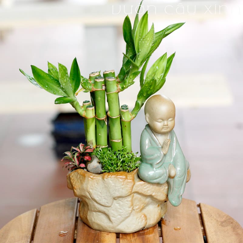 Cây trong phòng khách không phải nhiều là tốt: 3 loại nên trồng - 2 loại người xưa tránh xa - Ảnh 2.