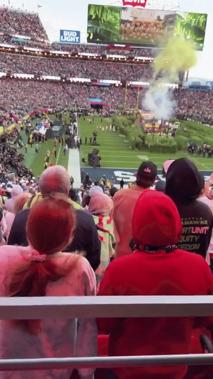 Sự thật về màn trình diễn lịch sử tại Super Bowl: Khán giả đứng đực như tượng, 70 nghìn người không tiếng hò reo- Ảnh 3.