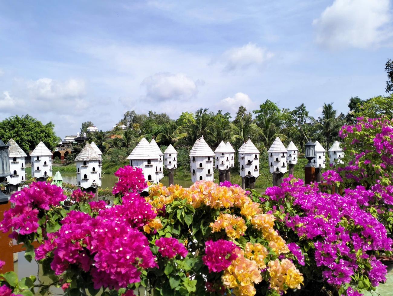 Tết xưa Trà Sư- Ảnh 5.