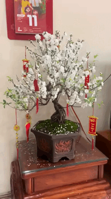 Đã tìm ra Đã tìm ra