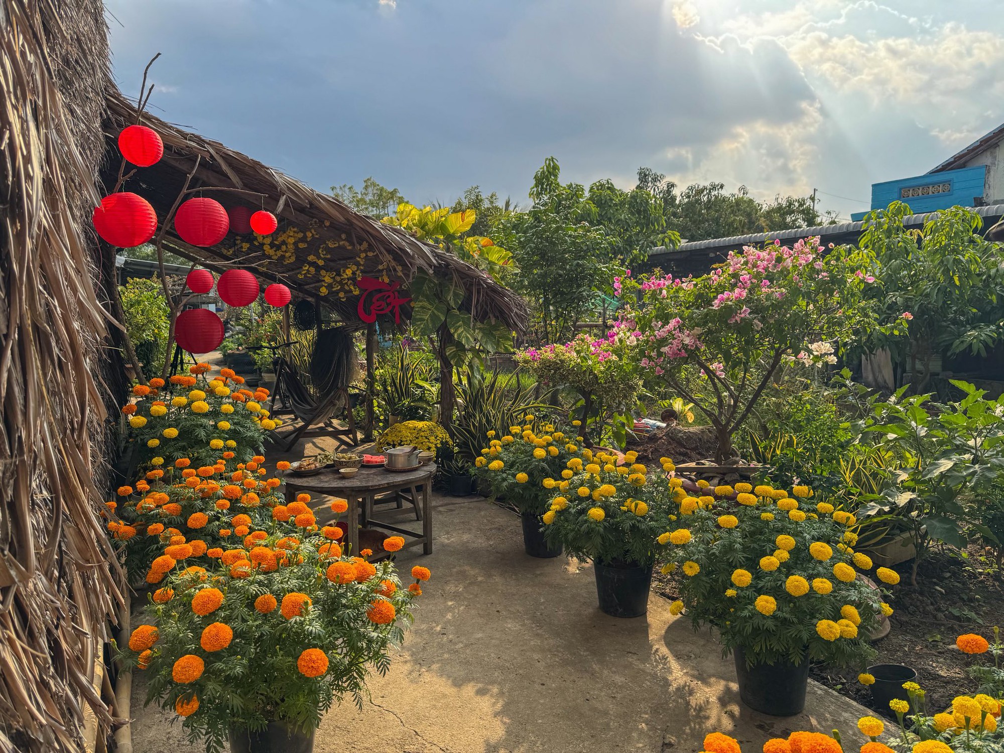 Mùng 1 Tết, ghé thăm căn nhà miền Tây với không khí đầu năm ngập sắc xuân: Hoa nở kín hiên, trái trĩu cành- Ảnh 4.