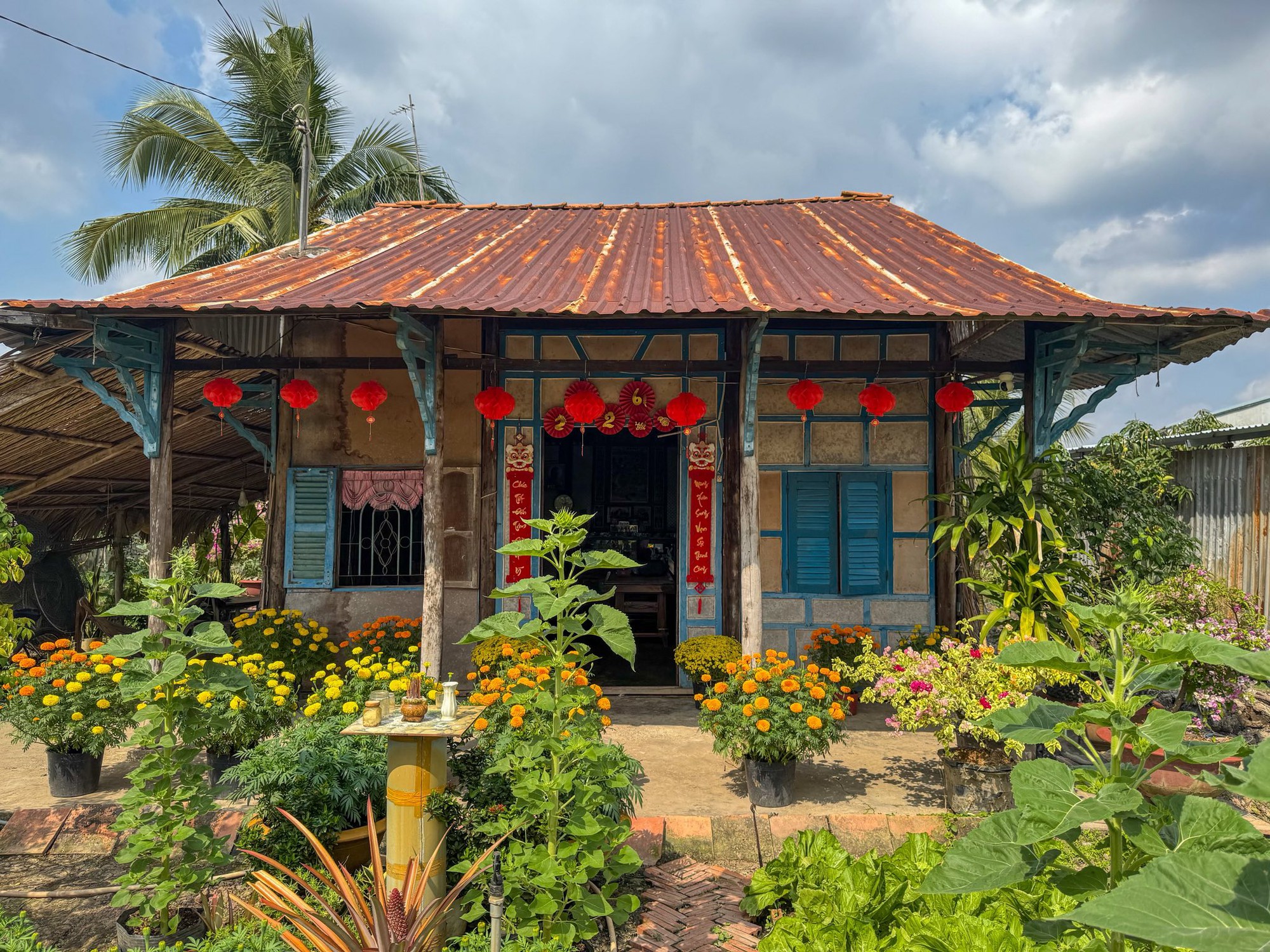 Mùng 1 Tết, ghé thăm căn nhà miền Tây với không khí đầu năm ngập sắc xuân: Hoa nở kín hiên, trái trĩu cành- Ảnh 5.