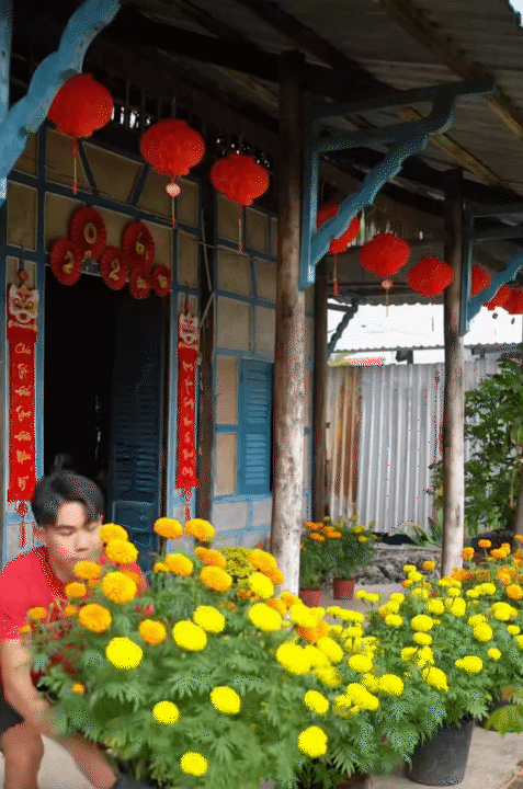 Mùng 1 Tết, ghé thăm căn nhà miền Tây với không khí đầu năm ngập sắc xuân: Hoa nở kín hiên, trái trĩu cành- Ảnh 2.