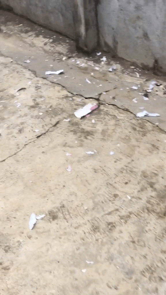 Cảnh tượng sáng mùng 1 Tết tại gia đình một người: Nhiều người tò mò vì sao- Ảnh 1.