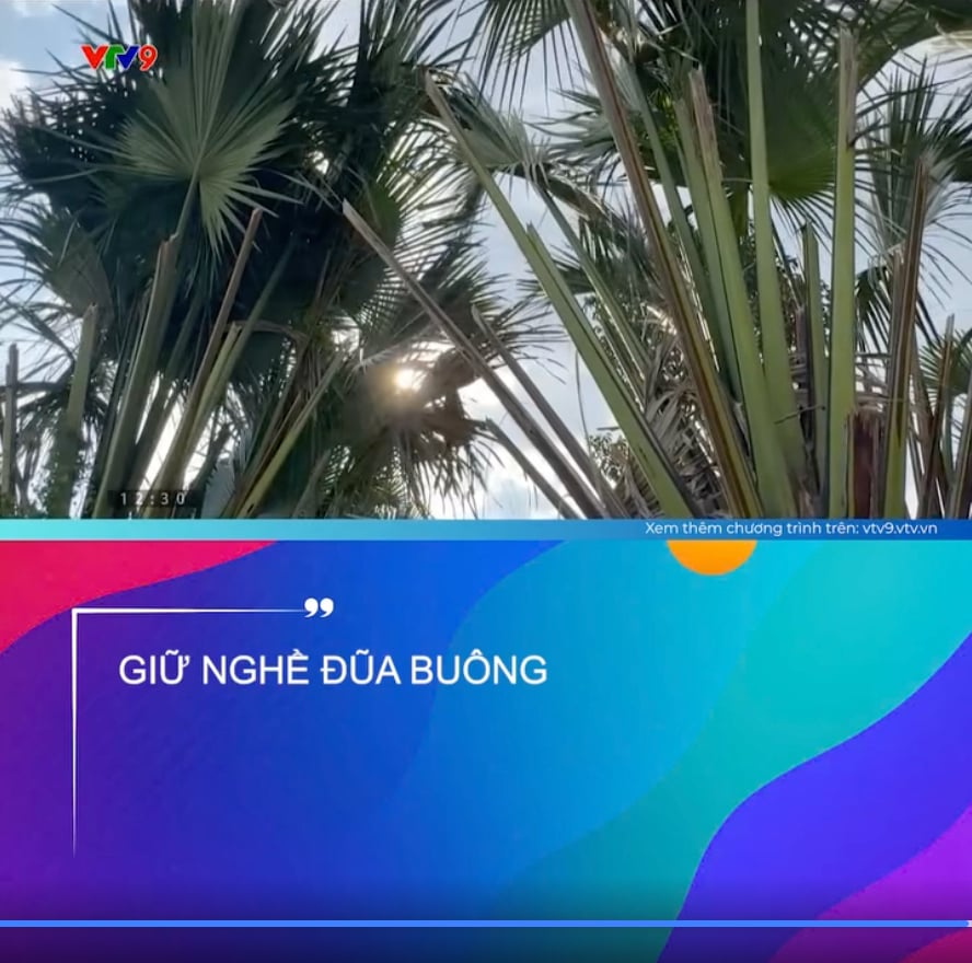 Đũa Buông: Loại đũa đang "hot" rần rần vì độ quý và độ bền hiếm có - Ảnh 1.