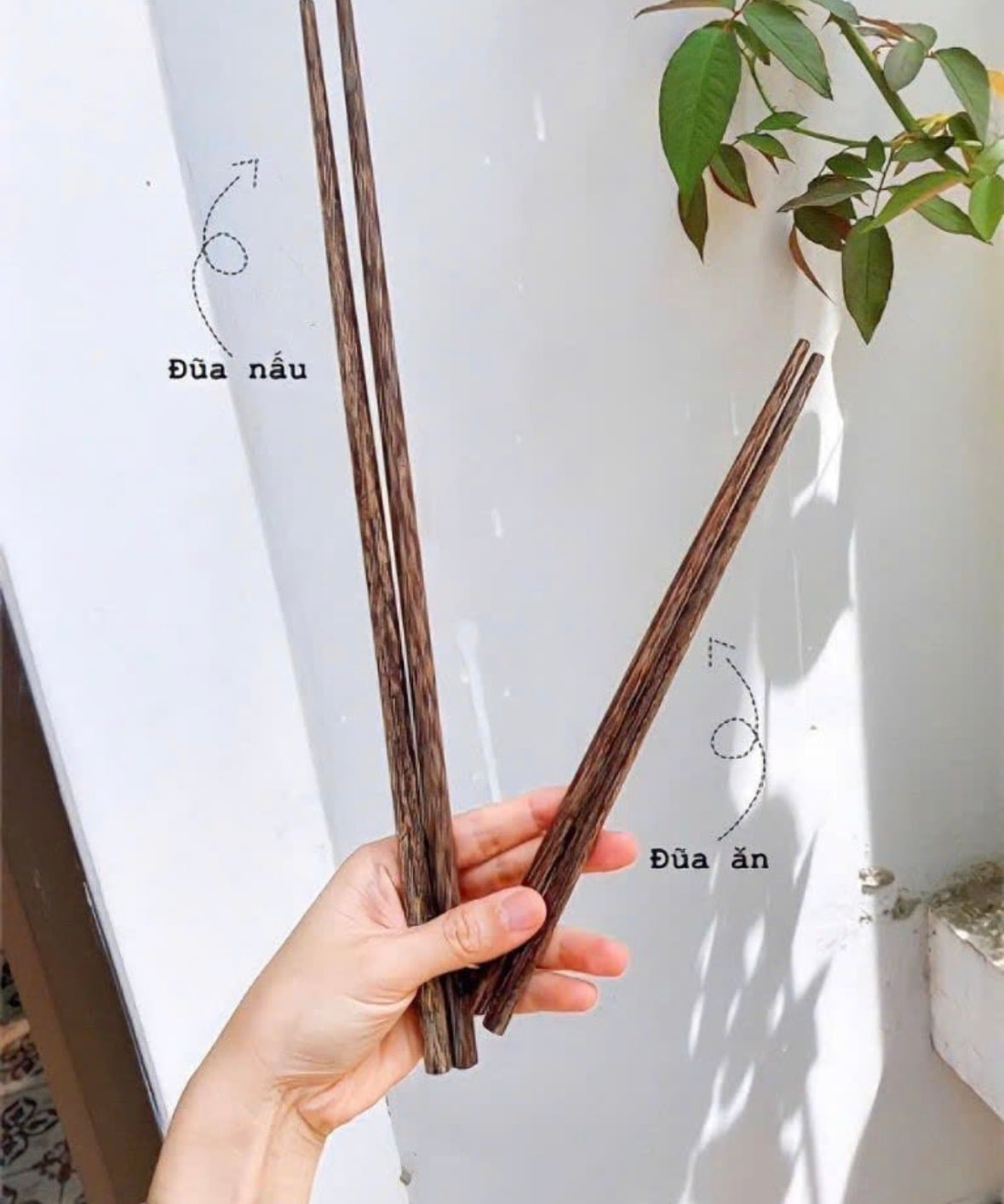 Đũa Buông: Loại đũa đang "hot" rần rần vì độ quý và độ bền hiếm có - Ảnh 4.