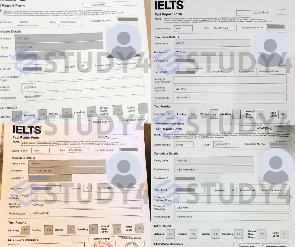 Những yếu tố giúp STUDY4 thu hút cộng đồng luyện thi chứng chỉ ngoại ngữ- Ảnh 4. Những yếu tố giúp STUDY4 thu hút cộng đồng luyện thi chứng chỉ ngoại ngữ- Ảnh 4.