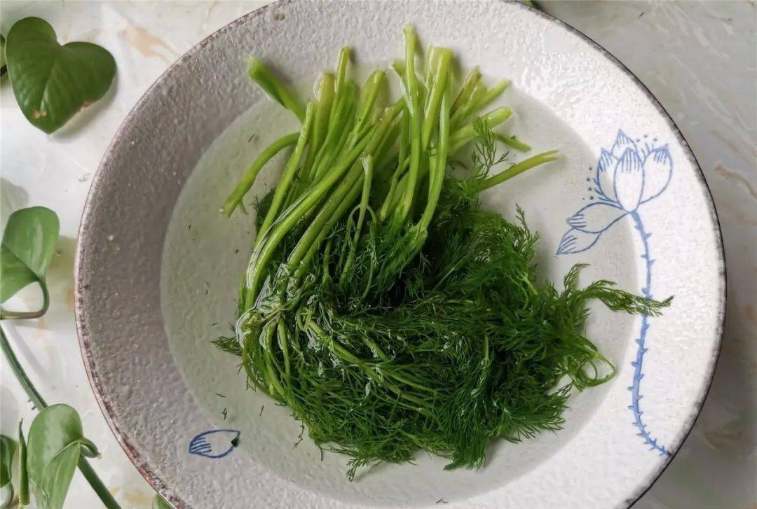 Tôi mua loại rau này mỗi mùa xuân về: Nấu 5 món ngon mà nhanh, hàm lượng canxi cao gấp 5 lần trứng- Ảnh 2. Tôi mua loại rau này mỗi mùa xuân về: Nấu 5 món ngon mà nhanh, hàm lượng canxi cao gấp 5 lần trứng- Ảnh 2.