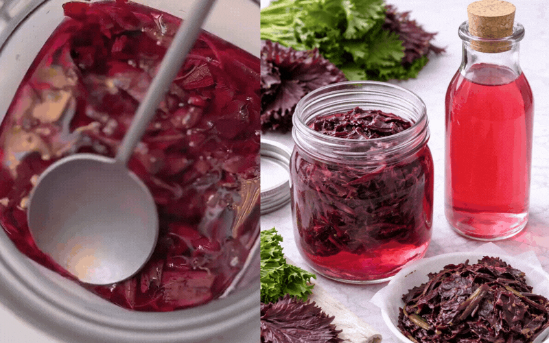 Mớ tía tô vài nghìn đem làm hũ "thần thánh" này là cực phẩm: Vừa tút tát nhan sắc, vừa nâng tầm vạn món ăn!- Ảnh 1.