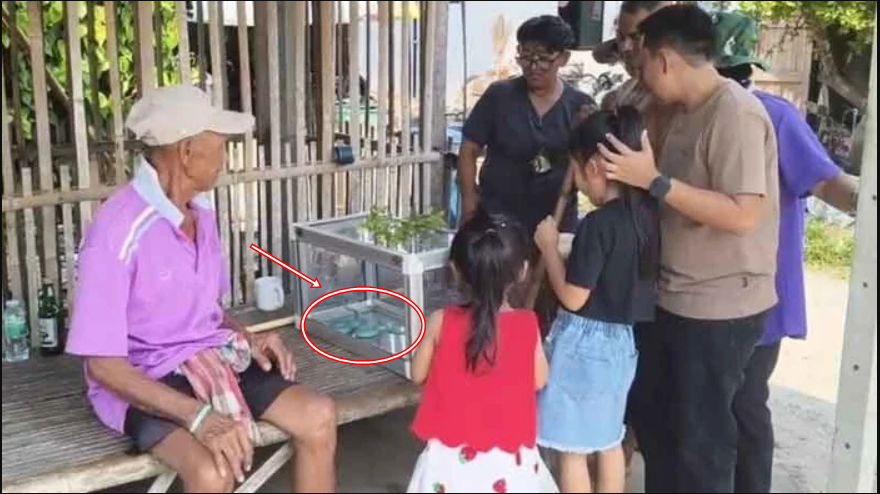 Người phụ nữ bắt rắn xanh lam "cực hiếm", chuyện lạ diễn ra ngay sau đó khiến dân làng kéo đến kín sân - Ảnh 1.