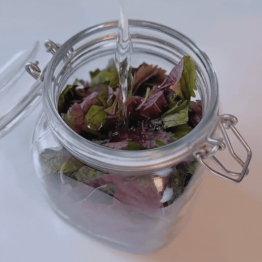 Mớ tía tô vài nghìn đem làm hũ "thần thánh" này là cực phẩm: Vừa tút tát nhan sắc, vừa nâng tầm vạn món ăn!- Ảnh 10.