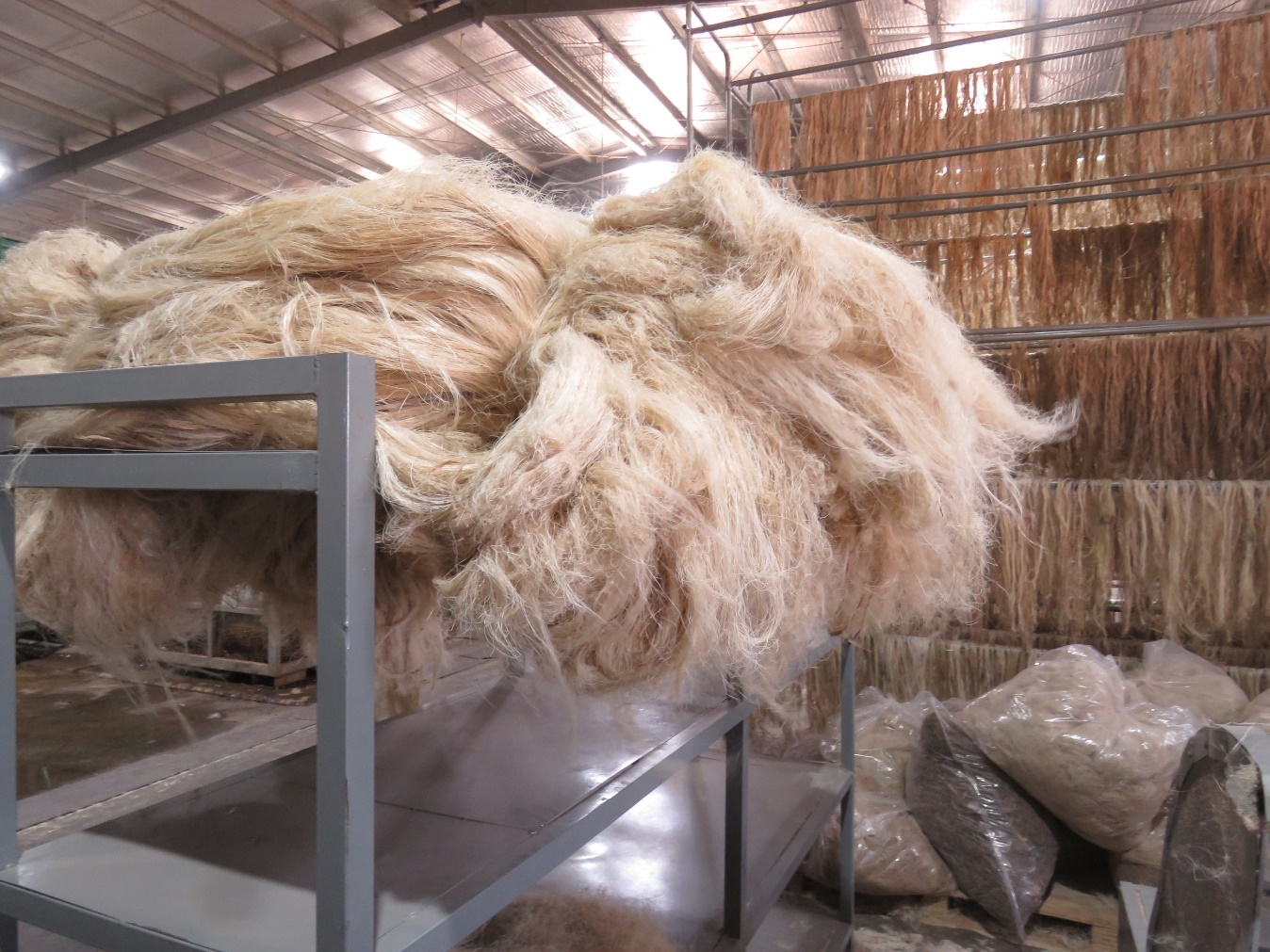 Thế giới nông nghiệp lạ thường và những điều không tưởng... - Ảnh 4.