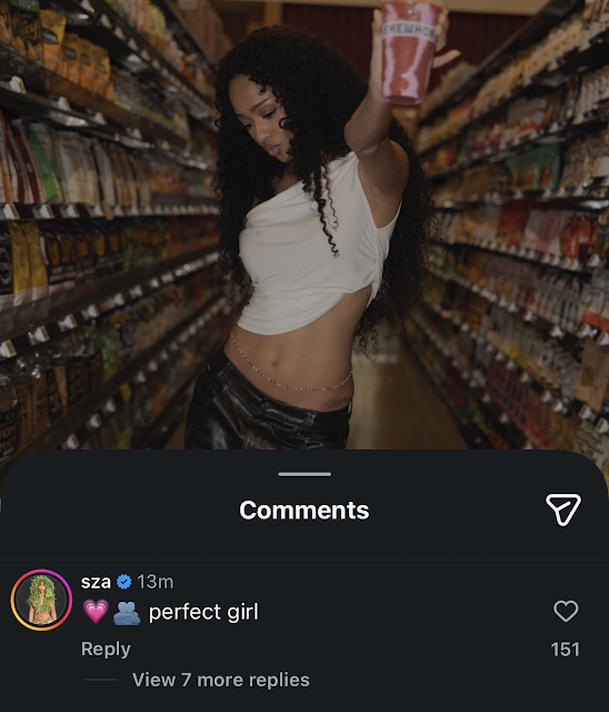 Nhóm nữ bạo nhất hiện tại phất như diều gặp gió, nay nguy cơ tan đàn xẻ nghé - Ảnh 4.