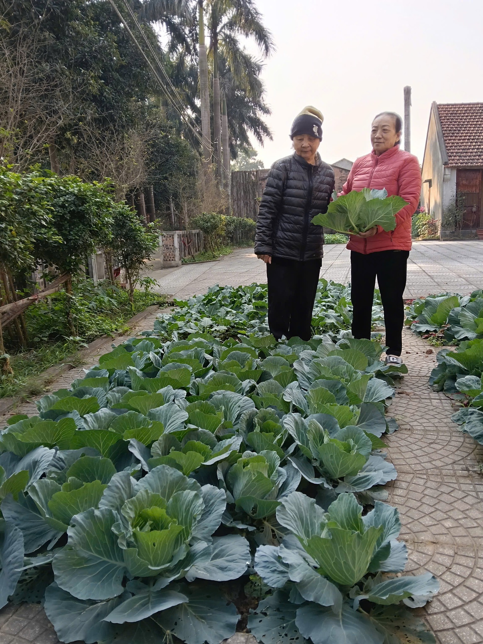 Một viện dưỡng lão ở rìa Hà Nội: Gần núi Ba Vì, có phòng ở như căn hộ chung cư thu nhỏ - Ảnh 3.