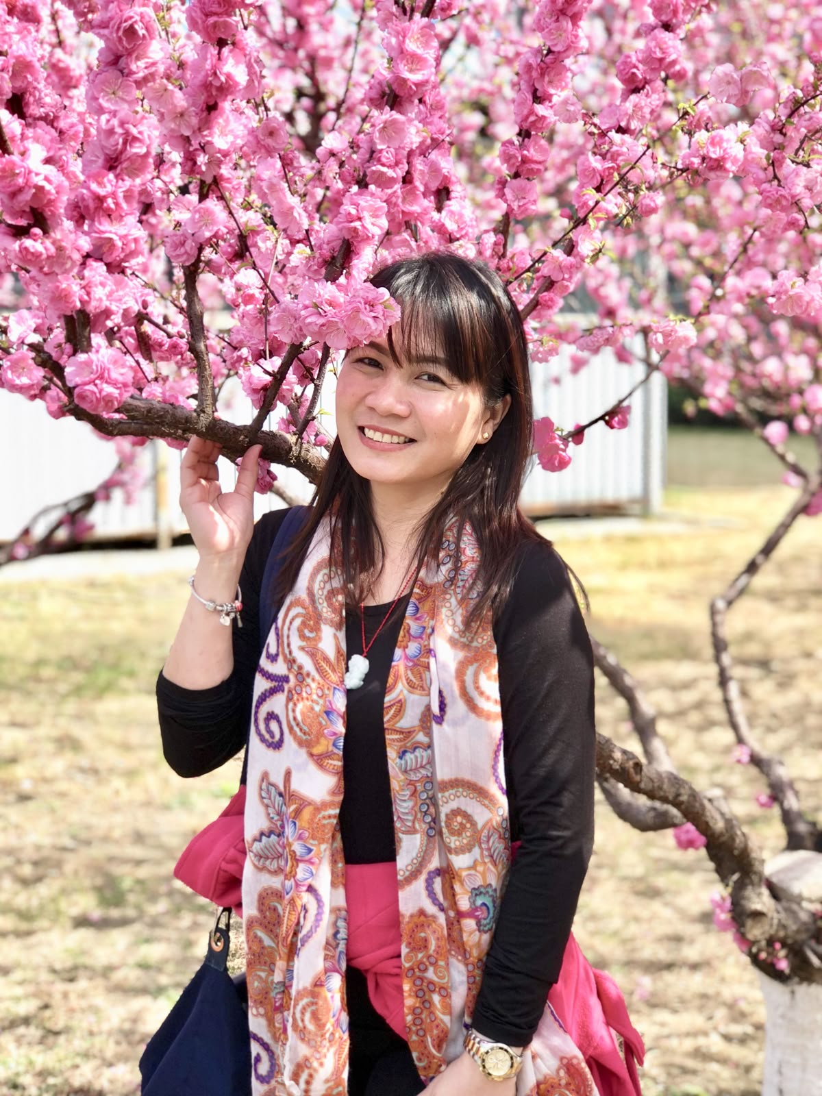 55 tuổi, nghỉ hưu 5 năm: Tôi thấm thía rằng có tiền và không có tiền, tuổi già rẽ sang hai số phận khác hẳn- Ảnh 2.