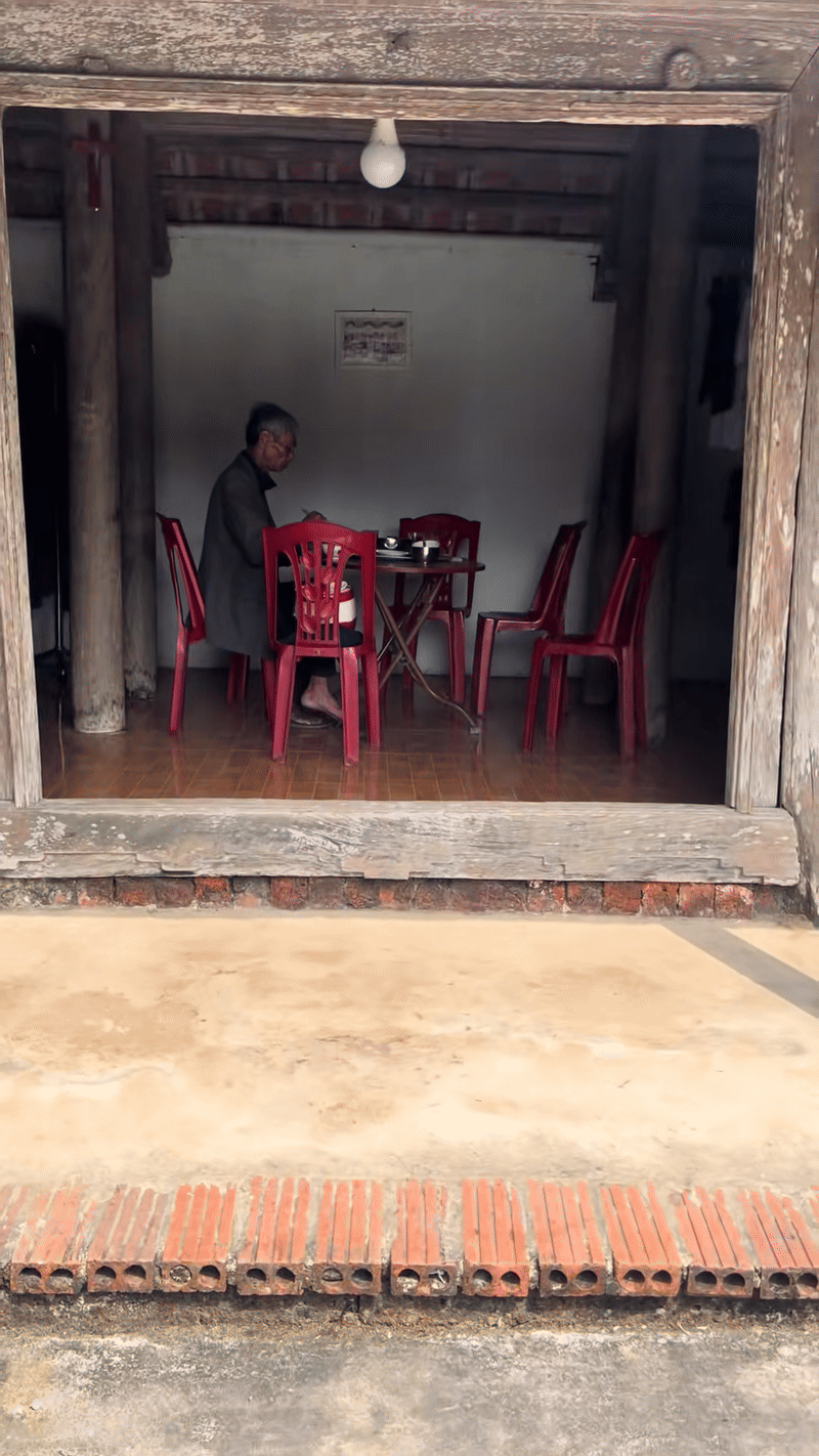 Cây khế viral TikTok với 3 triệu views, trả 15 triệu chủ nhà kiên quyết: Không bán- Ảnh 1.