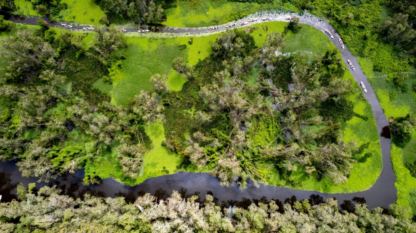 Rừng tràm Trà Sư “cho phép” tín chỉ carbon bước ra khỏi báo cáo- Ảnh 3.