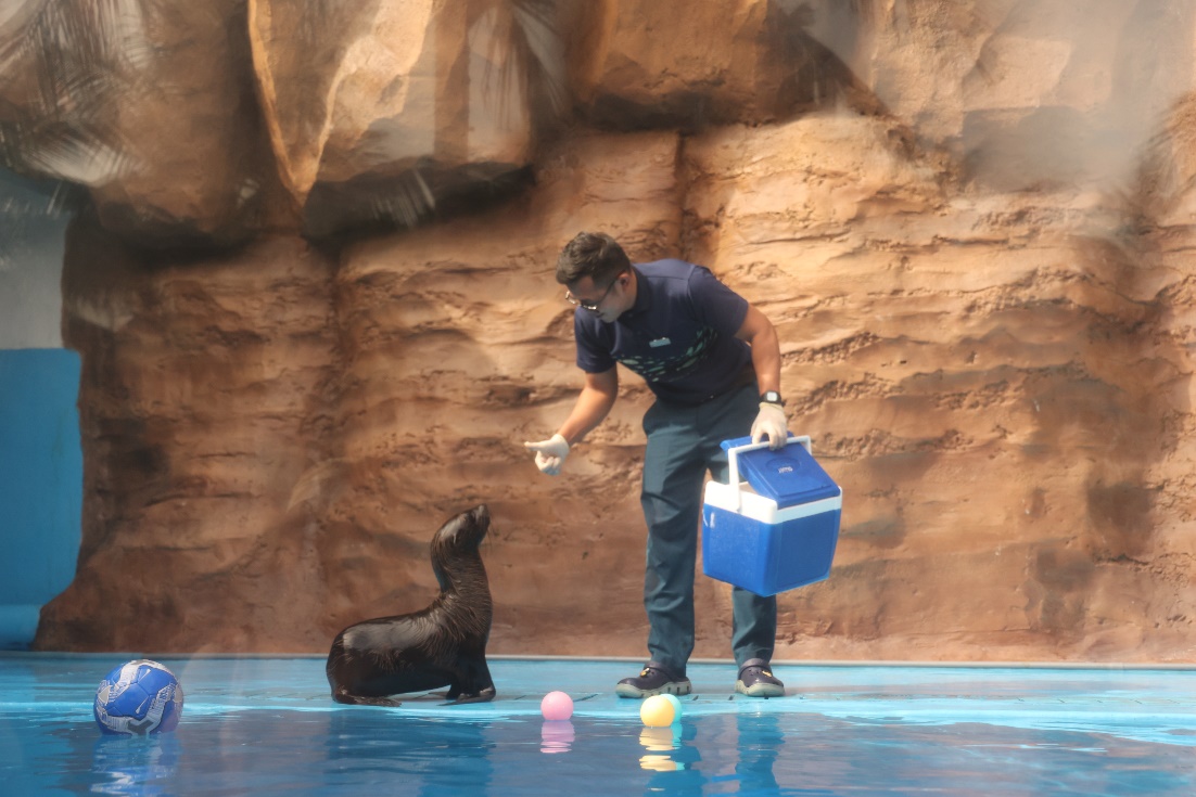 Hòn Tre bùng nổ mùa Tết với bộ ba siêu phẩm giải trí chưa từng có- Ảnh 3.