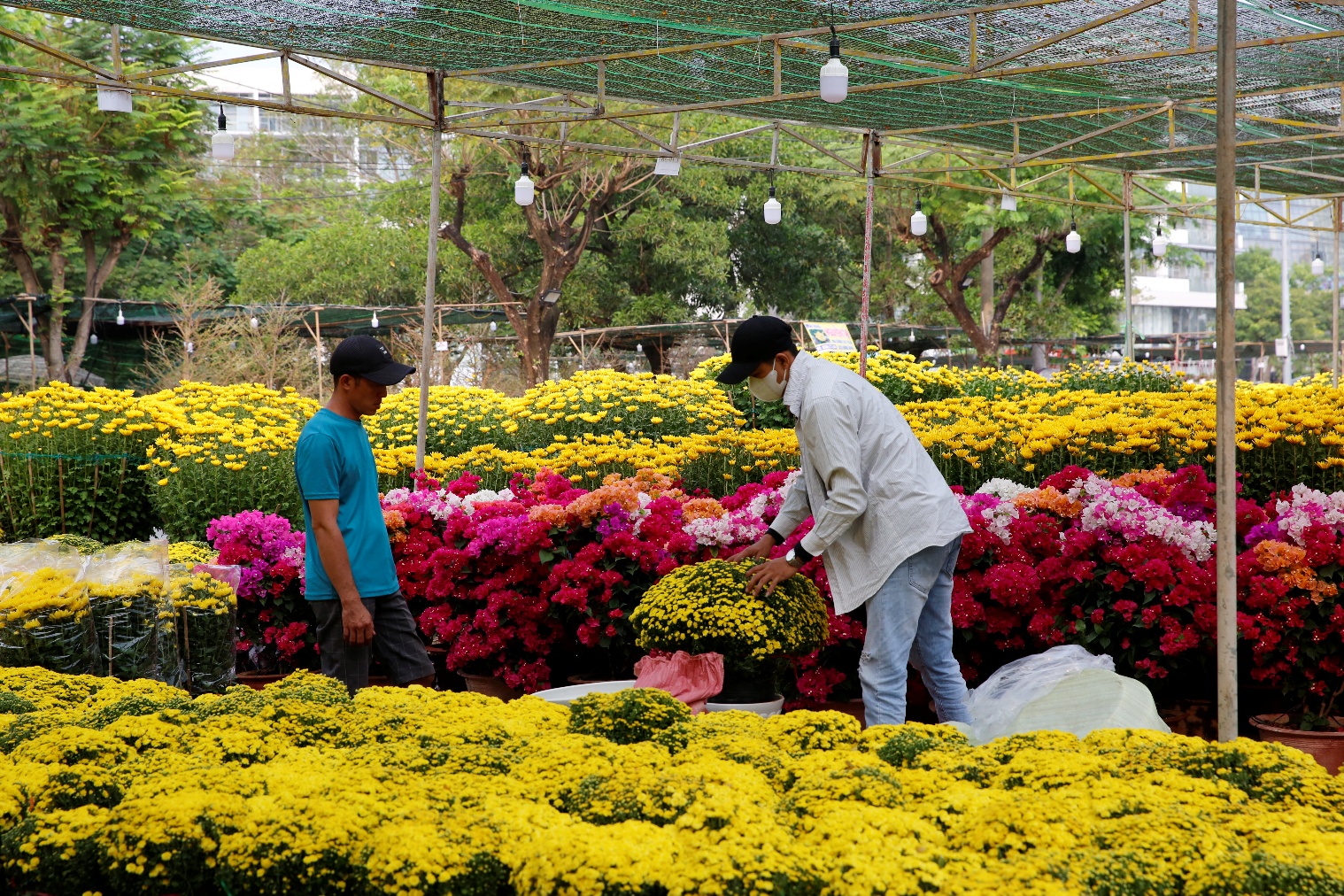 Đường Hoa Phú Mỹ Hưng 2026 rực rỡ sắc xuân với nhiều tiểu cảnh ấn tượng- Ảnh 5.