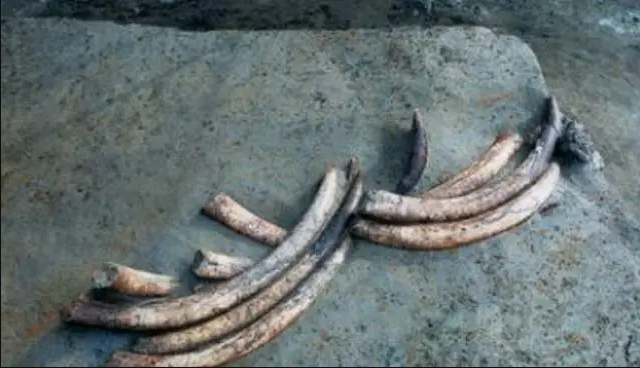 Đống "đất thải" bị bỏ quên ven đường 30 ngày không ai để ý, chuyên gia nhặt lên rồi trở thành quốc bảo- Ảnh 2.