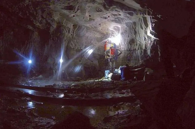 Một trong những loài cô đơn nhất trên Trái Đất, sống ở 2.800 mét dưới lòng đất và tồn tại nhờ năng lượng phóng xạ- Ảnh 3. Một trong những loài cô đơn nhất trên Trái Đất, sống ở 2.800 mét dưới lòng đất và tồn tại nhờ năng lượng phóng xạ- Ảnh 3.