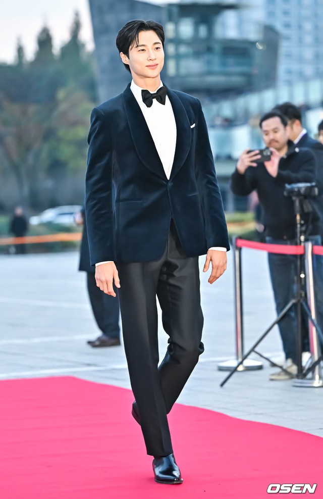 Thảm đỏ "Oscar Hàn Quốc" 2023: Han Hyo Joo khoe lưng trần so kè "ác nữ", nam thần Kang Nam Soon lấn át đồng nghiệp- Ảnh 8.