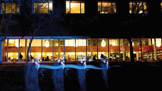 Sinh viên "bóc trần" sự thật bên trong thư viện Harvard lúc nửa đêm: Đừng bao giờ thắc mắc sao trường toàn tỷ phú!- Ảnh 1.