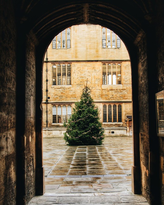 ĐH Oxford "chơi lớn" dựng cây thông Noel ngoài trời cho sinh viên "sống ảo", tiệc Giáng sinh sang chảnh cũng rất là mê- Ảnh 10.