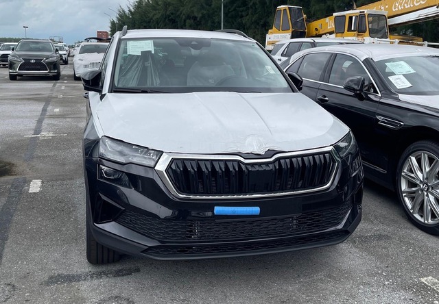 Skoda Karoq, Kodiaq chốt ra mắt Việt Nam tháng sau: Thêm đối thủ mới cho nhóm Sportage, Sorento - Ảnh 3.