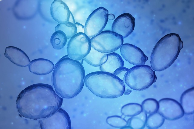 Bí ẩn về prion ẩn trên nhiễm sắc thể thứ 20 của con người - Ảnh 5.