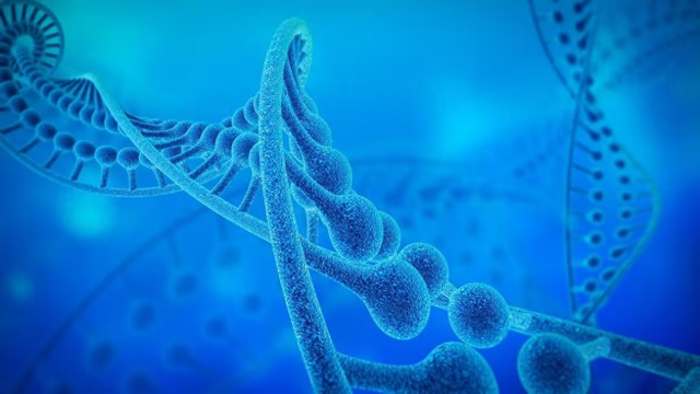 Bí ẩn về prion ẩn trên nhiễm sắc thể thứ 20 của con người - Ảnh 1.