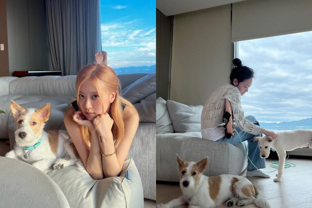 Đột nhập nơi Jisoo v&agrave; Ahn Bo Hyun hẹn h&ograve;: Căn hộ trăm tỷ gần c&ocirc;ng ty BTS, ri&ecirc;ng gương cũng tận 268 triệu - Ảnh 7.