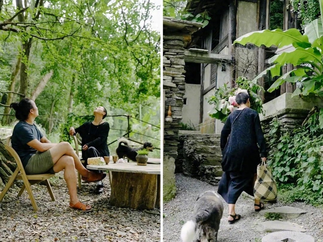 Cặp vợ chồng lên núi thuê căn nhà gỗ cũ hơn 3 triệu đồng/tháng: Làm nơi thưởng trà, tận hưởng cuộc sống nhàn nhã!
