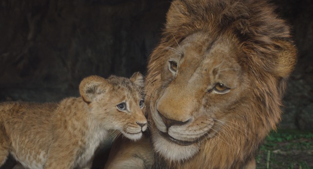 Vì sao nên xem "Mufasa: Vua Sư Tử" - bộ phim thay đổi hoàn toàn cái nhìn về phản diện tuổi thơ?- Ảnh 2.