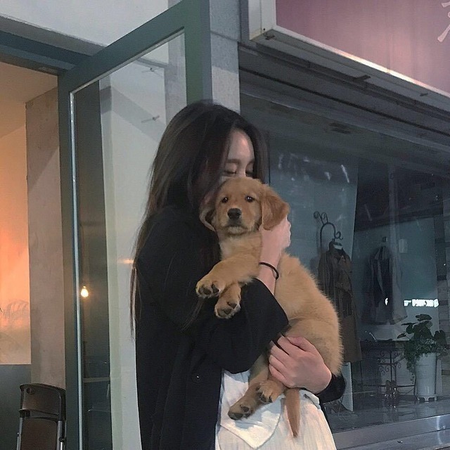 "Người ta hỏi cảm giác mất thú cưng là thế nào? Khi nó mất đi, tôi cảm thấy mình không đáng được sống tốt"- Ảnh 2.
