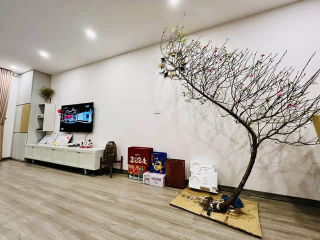 Dân chơi đào huyền "khóc dở mếu dở": Gia chủ chật vật với cây ngả nghiêng không đứng vững, bình hoa vỡ tan tành- Ảnh 5.