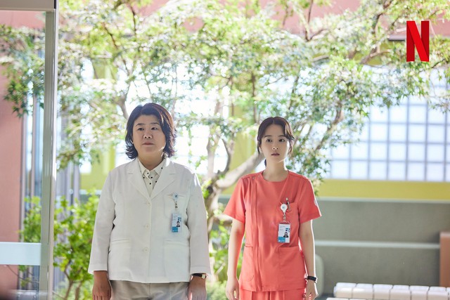 5 phim Hàn chữa lành cho năm mới tích cực: Park Shin Hye - Park Bo Young khiến khán giả mê mệt- Ảnh 2.
