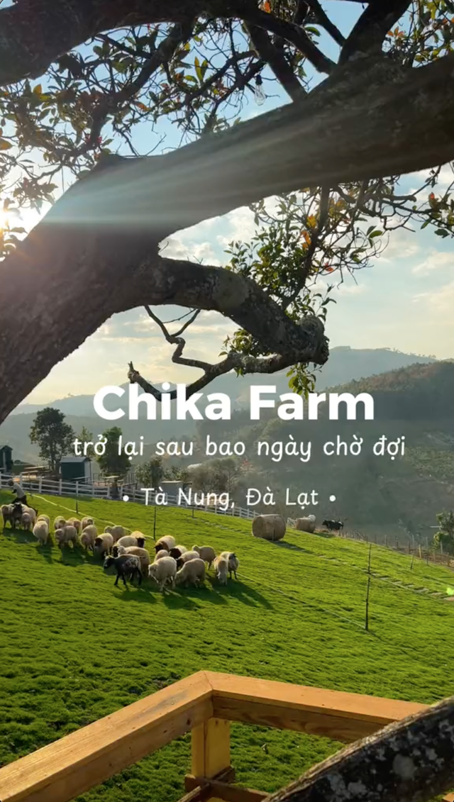 Chika Farm Đà Lạt bất ngờ thông báo trở lại đúng mùng 2 Tết, thêm nhiều cảnh check-in đẹp mê mẩn- Ảnh 1.