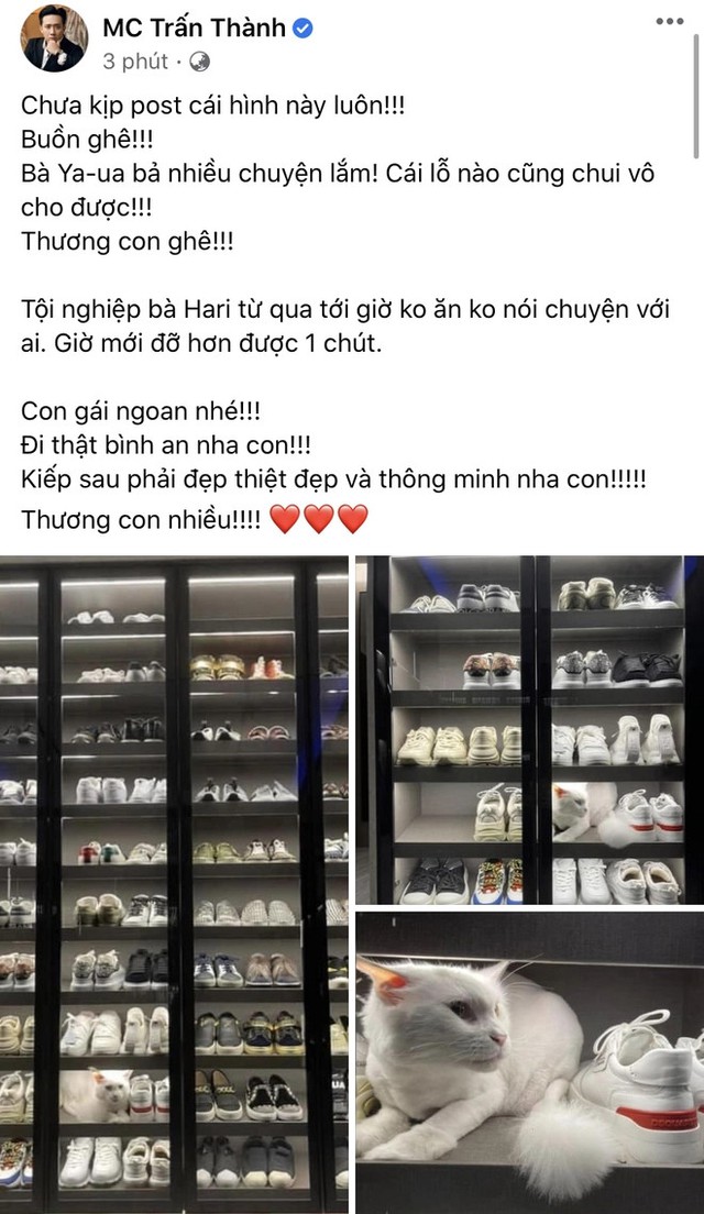 Trấn Thành tiết lộ “hung thủ” từng khiến căn hộ bị phá tanh bành, ai dè “bóc” giá mới ngã ngửa- Ảnh 5.