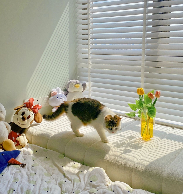 Căn hộ 47㎡ của cô giáo 9x gây sốt mạng xã hội: Xinh xắn như bước ra từ hoạt hình anime- Ảnh 2.
