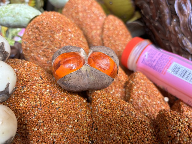 Du khách bất ngờ thích thú với loại quả độc lạ xuất hiện tại lễ hội trái cây Nam Bộ- Ảnh 5.