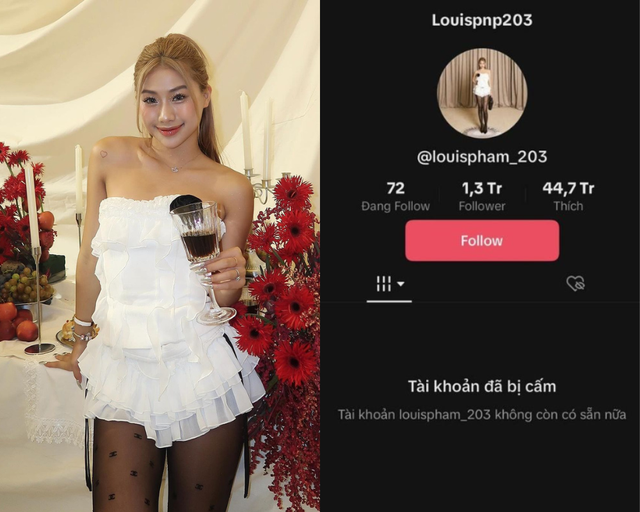 TikTok "cấm cửa" Phạm Như Phương sau hàng loạt thị phi- Ảnh 1. TikTok "cấm cửa" Phạm Như Phương sau hàng loạt thị phi- Ảnh 1.
