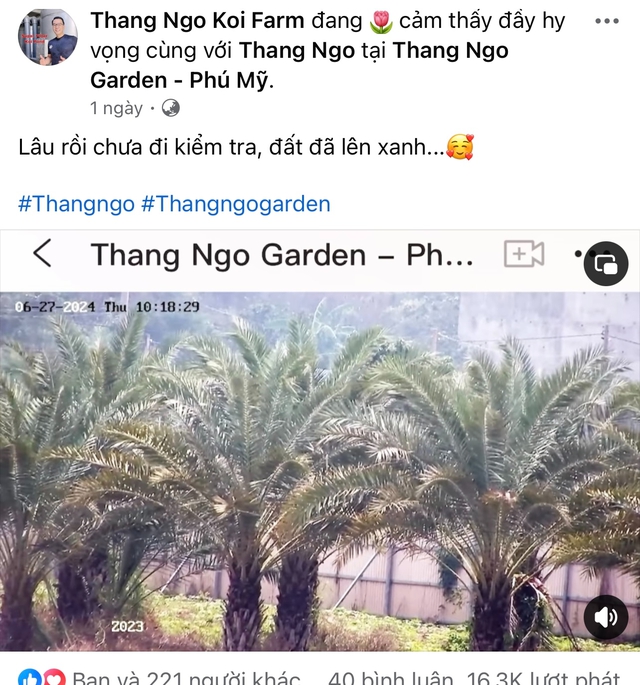 Động thái của "vua cá Koi" Thắng Ngô sau khi ném nhẫn cưới dứt tình với Hà Thanh Xuân- Ảnh 2.