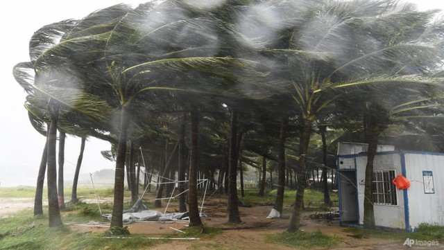 Vì sao siêu bão Yagi là trường hợp “rất hiếm” nhưng vẫn xảy ra?- Ảnh 2. Vì sao siêu bão Yagi là trường hợp “rất hiếm” nhưng vẫn xảy ra?- Ảnh 2.